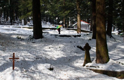 Snowfall in the cemetery of the Church of St John in the Wilderness near McLeodganj, Dharamshala, January 2012. Photo by Ashwini Bhatia