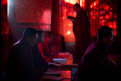 Monks study in class at Kirti Monastery, Dharamshala. Photo by Ashwini Bhatia